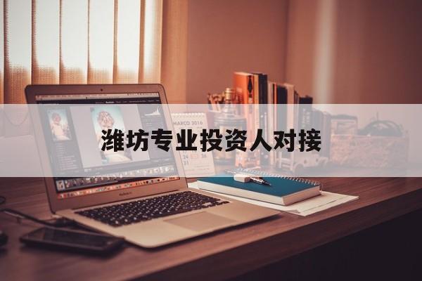 博乐市潍坊专业投资人对接(潍坊专业投资人对接中心)
