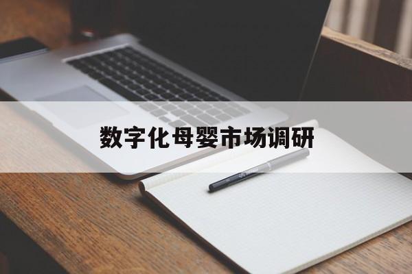 博乐市数字化母婴市场调研(数字化母婴市场调研报告)
